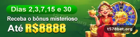 t578 destaque